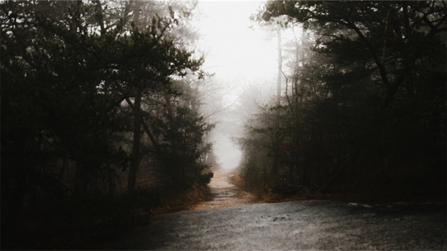 饮湖上初晴后雨的诗意(“饮湖上初晴后雨”的诗意是什么？)