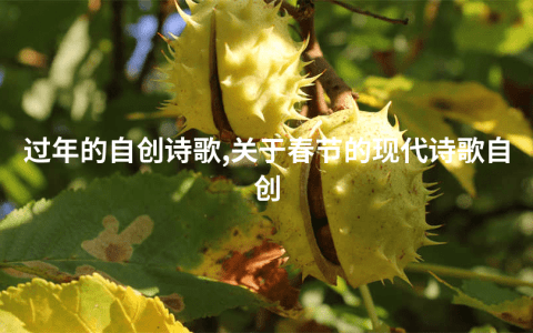 过年的自创诗歌,关于春节的现代诗歌自创