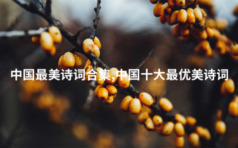 中国最美诗词合集,中国十大最优美诗词