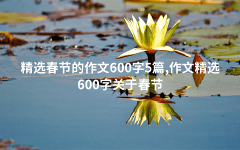 精选春节的作文600字5篇,作文精选600字关于春节