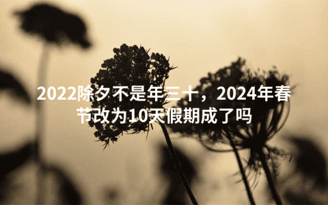 2022除夕不是年三十，2024年春节改为10天假期成了吗
