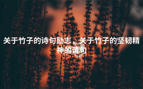 关于竹子的诗句励志，关于竹子的坚韧精神的诗句