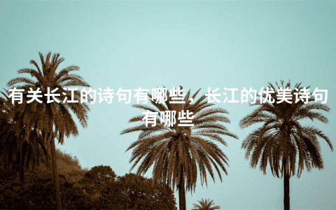 有关长江的诗句有哪些，长江的优美诗句有哪些