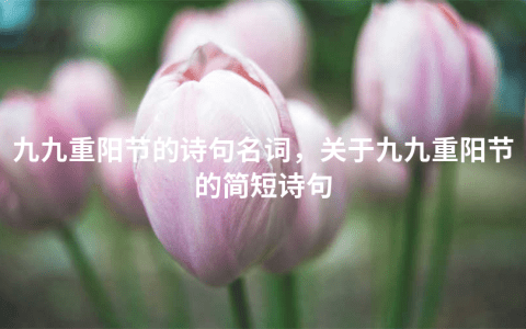 九九重阳节的诗句名词，关于九九重阳节的简短诗句