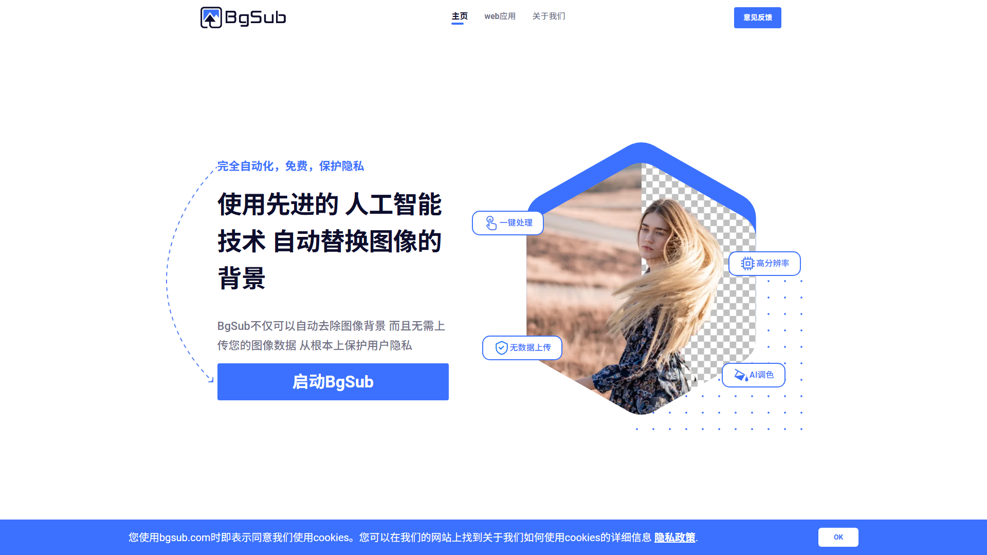 BgSub