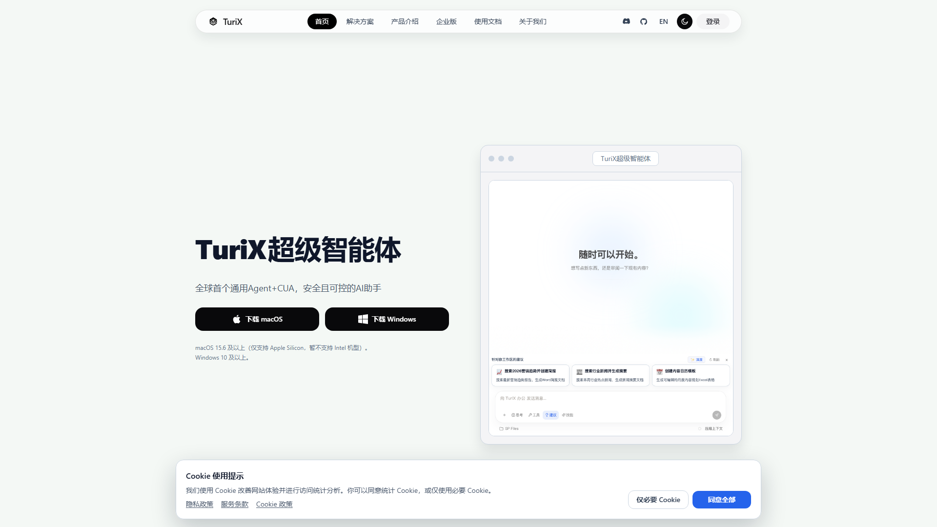 TuriX